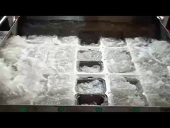 Μηχανή κιβωτίων από χυτό πολτό SHM