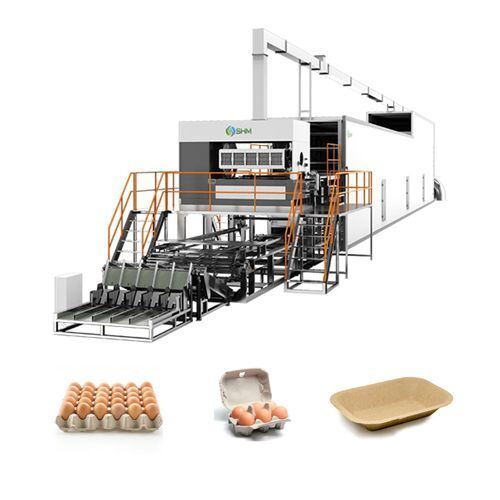 Fully Automatic Paper Egg Carton Making Machine | Molded Pulp Egg Box Production Line | SHM